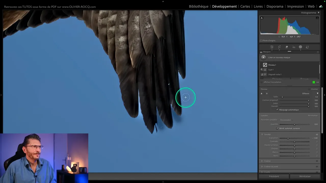 Interface de Lightroom Classic montrant un pinceau appliqué sur un masque avec un résultat inattendu