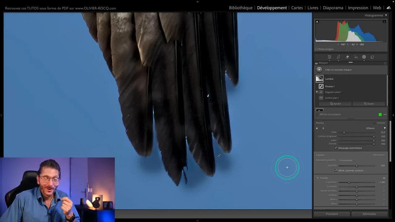 Interface de Lightroom Classic affichant la réapparition d’un bug de pinceau