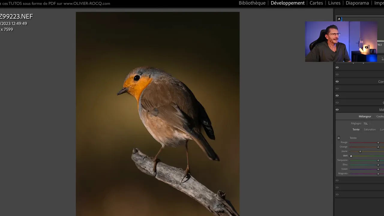 Panneau de réglage Lightroom affichant la sélection de l’arrière-plan.