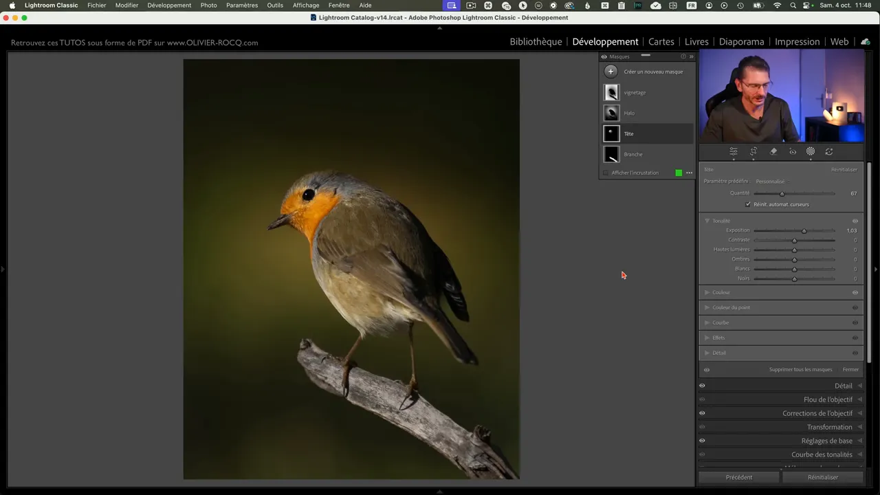 Panneau de réglages Lightroom avec plusieurs masques actifs.
