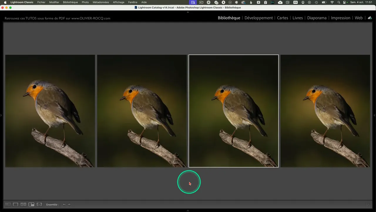 Vue de plusieurs versions d’une même photo dans la bibliothèque Lightroom.