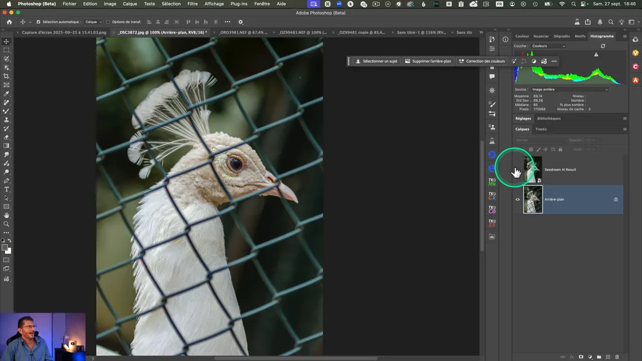 Portrait d’un oiseau blanc derrière un grillage, image source avant édition