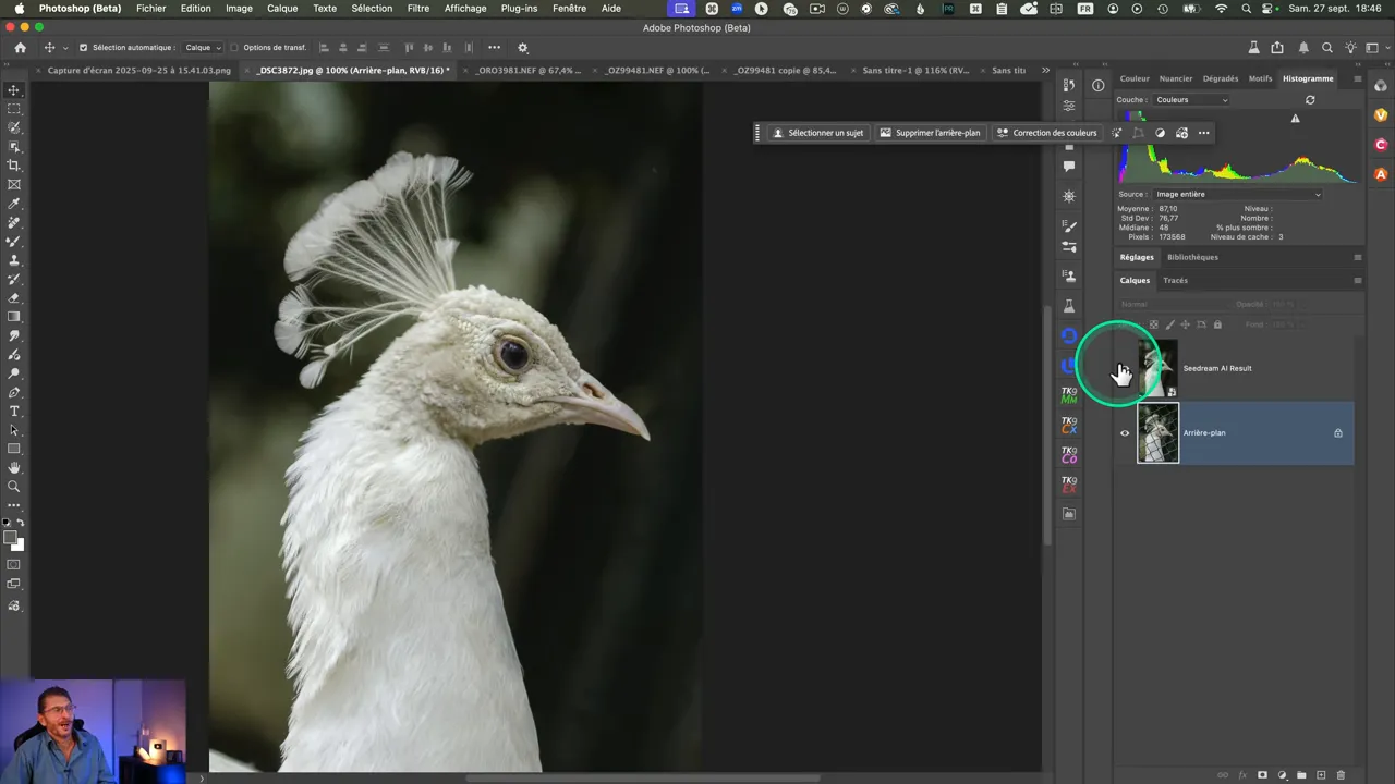 Portrait du même oiseau après suppression du grillage avec Seedream