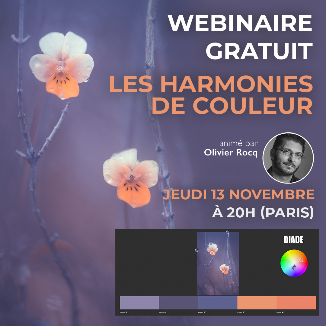Webinaire harmonies couleur
