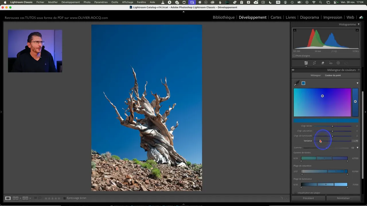 Curseur Variance dans Couleur du point
