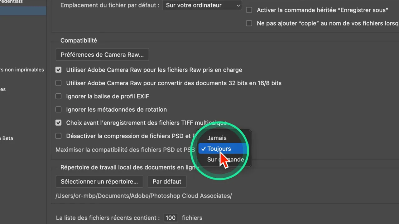 Réglage Photoshop « Maximiser la compatibilité des fichiers PSD et PSB » activé