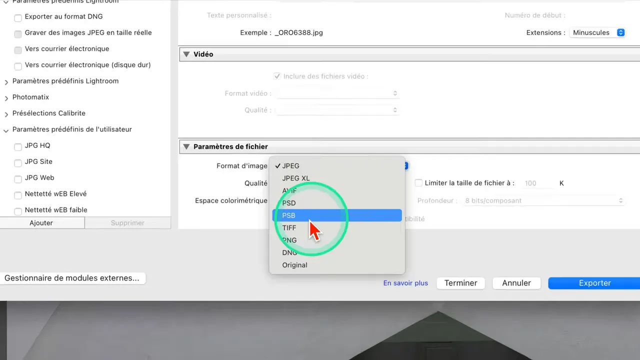 Boîte de dialogue d’export Lightroom Classic avec le format PSB sélectionné