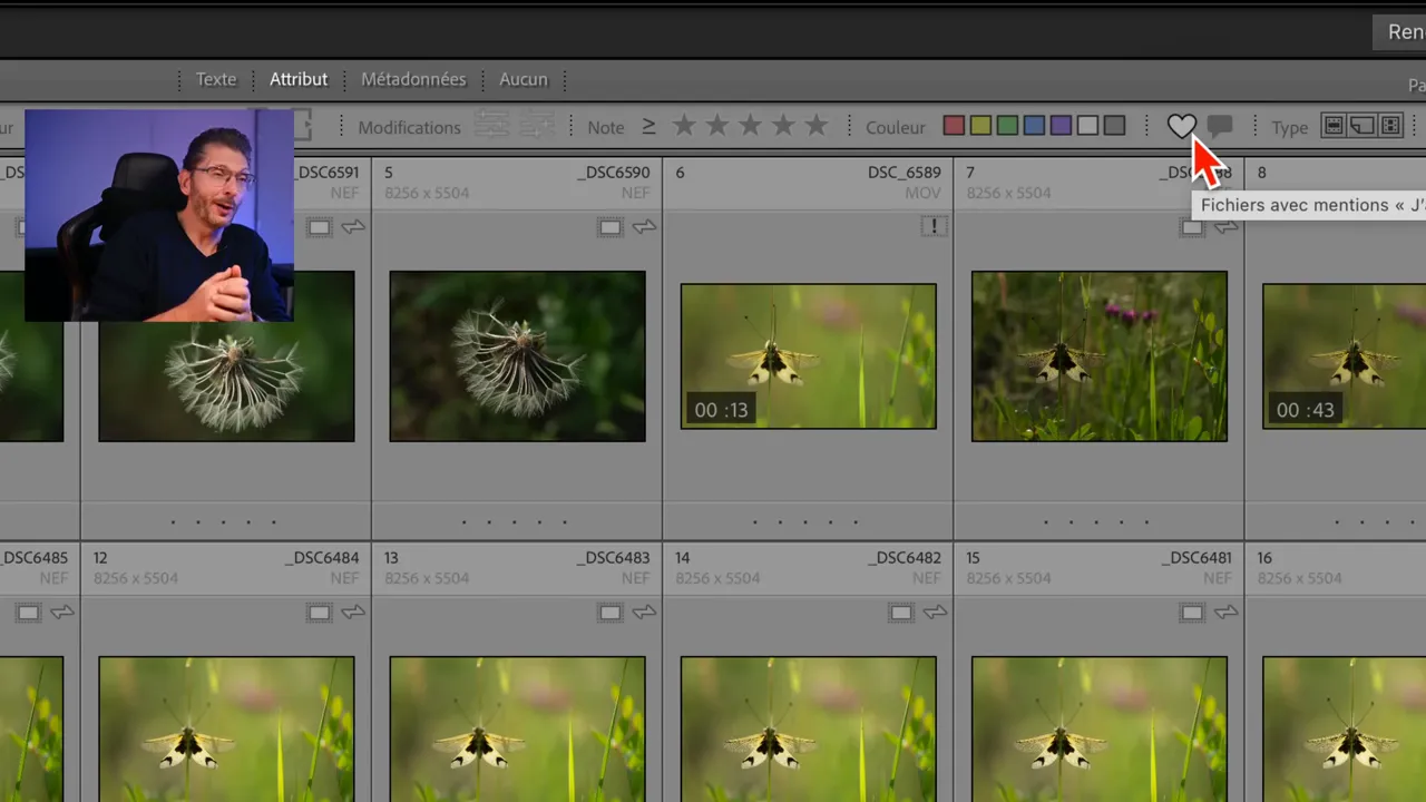 Filtres J’aime et Commentaires dans la Bibliothèque