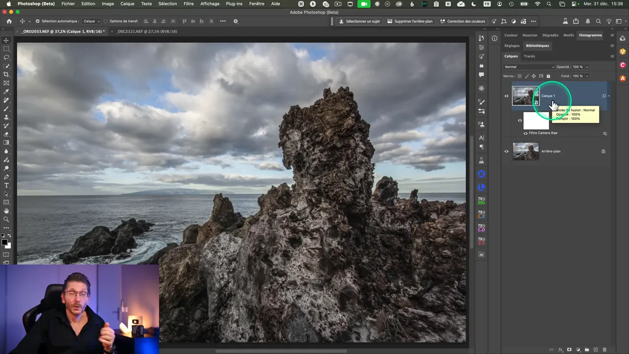 Utilisation du filtre Camera Raw sur une copie fusionnée dans Photoshop