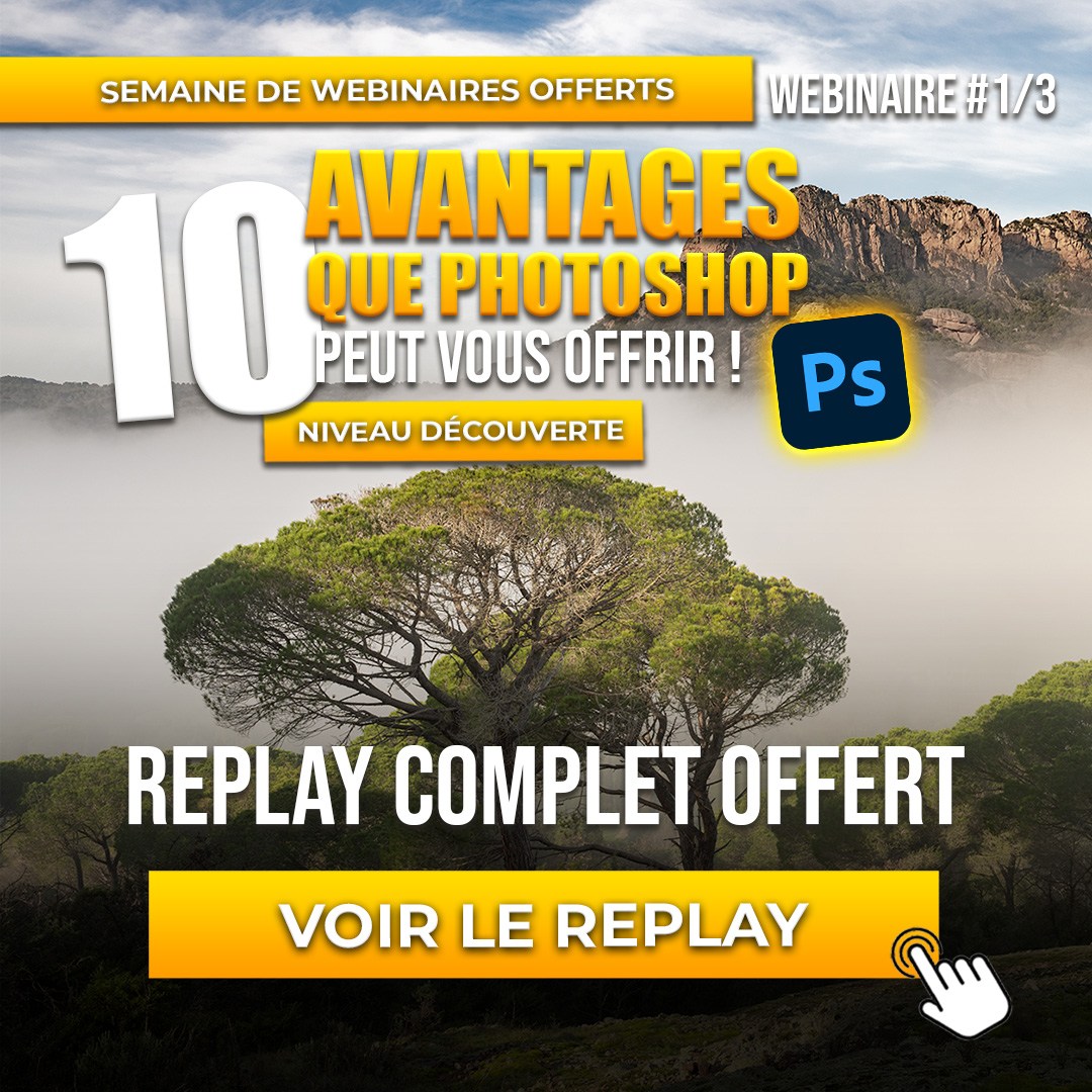 replay 1er webinaire PS d&eacute;couverte