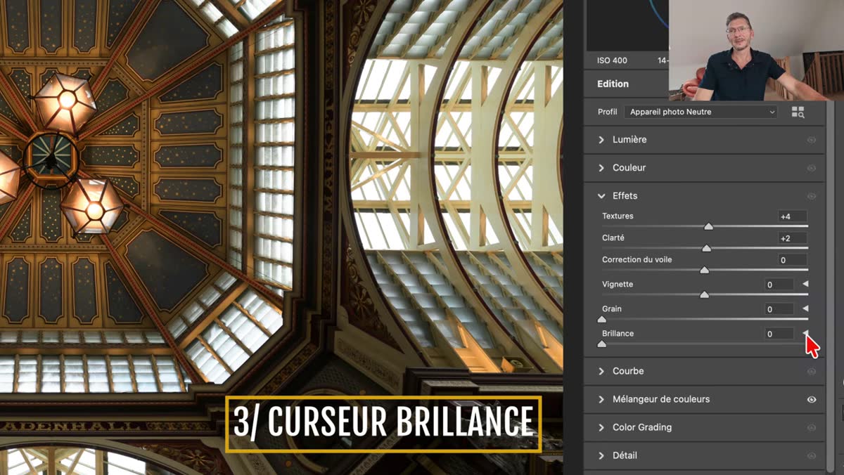 dans Camera Raw, panneau Brillance repli&eacute; puis ouvert avec le curseur principal r&eacute;gl&eacute; &agrave; 0 et les commandes secondaires gris&eacute;es