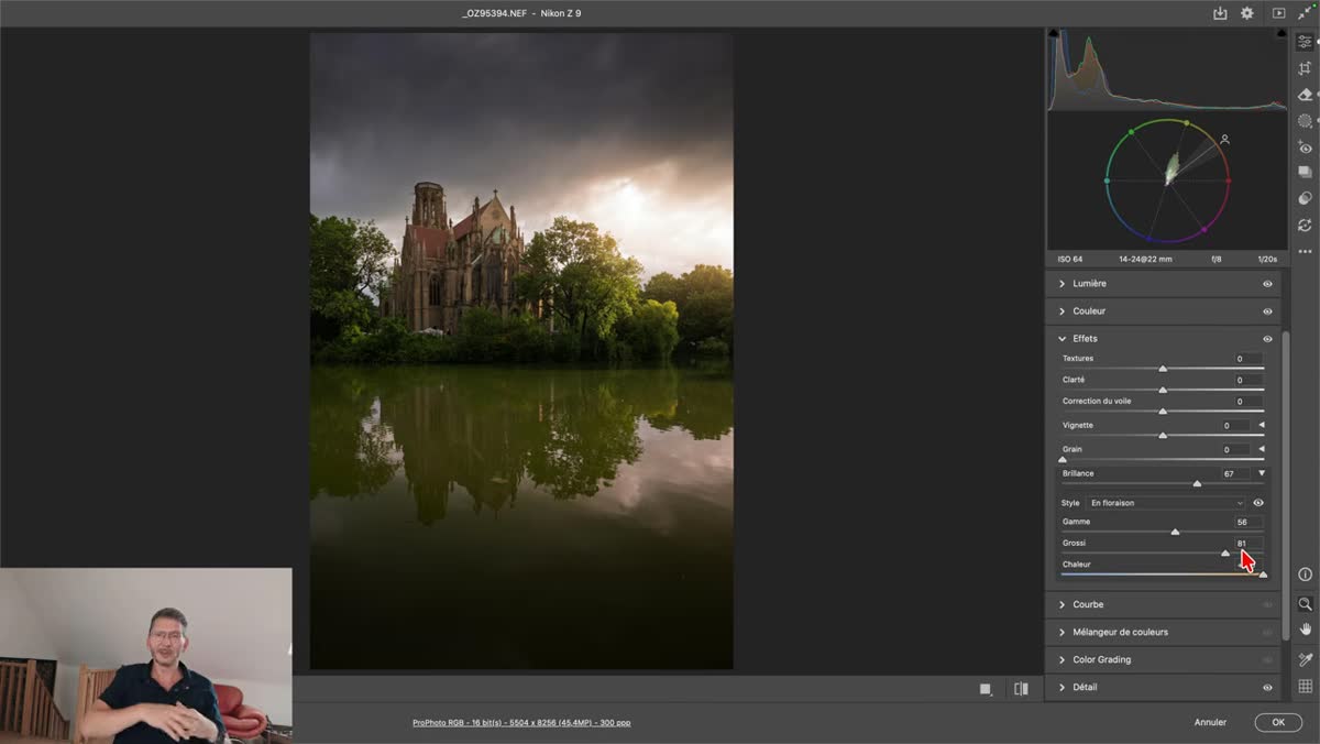 dans Camera Raw, montage comparatif montrant les r&eacute;sultats Diffusion, Floraison et Halo sur trois photographies diff&eacute;rentes