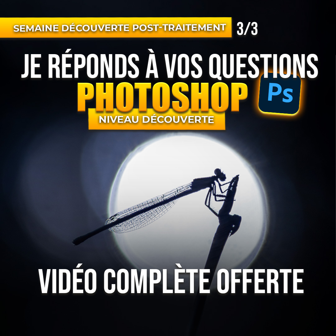 Semaine d&eacute;couverte Ps niveau d&eacute;couverte 3e video